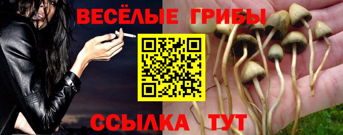 Галлюциногенные грибы GOLDEN TEACHER Красноярск